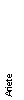 Casella di testo: Ariete