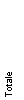 Casella di testo: Totale